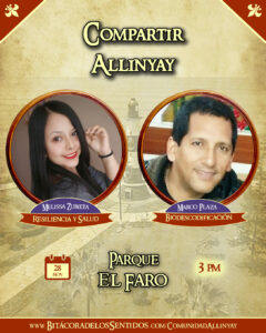 Actividad Transmedia